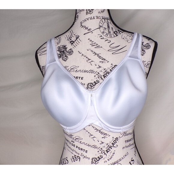 🆕WACOAL Basic Beauty Seamless Spacer Underwire T-Shirt Bra 34DDD Blue #853192 - Picture 3 of 6